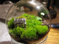 Minyatür Bahçe Teraryum Bakımı ve Özellikleri